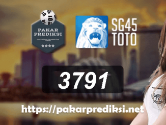 Prediksi Keluaran Togel Singapore 45 SGP45 603